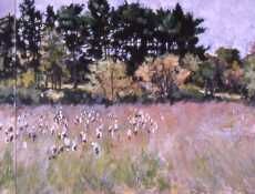 Paintings