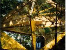 Treehouse